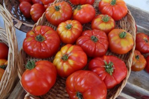 Días de tomate: V Feria del Tomate Antiguo, local y ecológico de Pamplona
