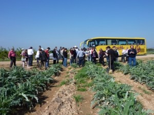 La gastronomía navarra protagonizará diversos eventos durante el año 2011