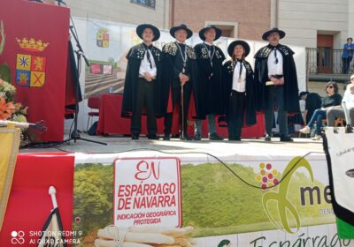 Mendavia celebró la XXXI Fiesta del Espárrago de Navarra