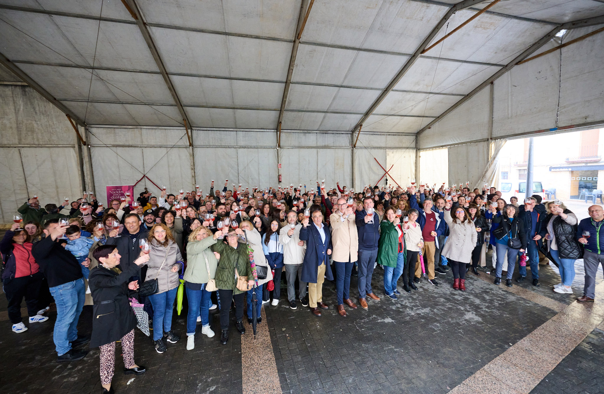 Navarra celebró el “Día del Vino D.O.” con un brindis multitudinario