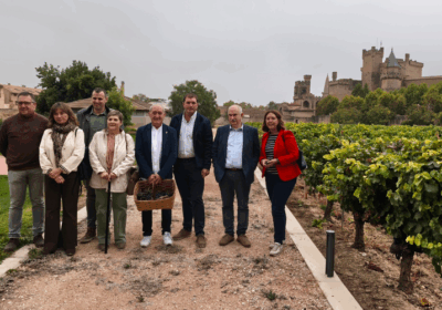 Menos cantidad y más calidad en la vendimia 2025 en la D.O. Navarra