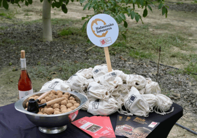 La Nuez de Navarra espera una producción de 200 toneladas de excelente calidad en su segunda campaña como marca de calidad